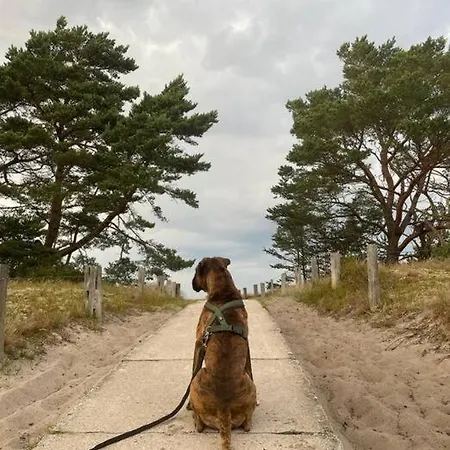 דירה Jules Heim Mit Herz Hanshagen (Lubmin)