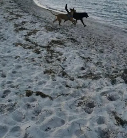 Jules Heim Mit Herz Hanshagen (Lubmin)