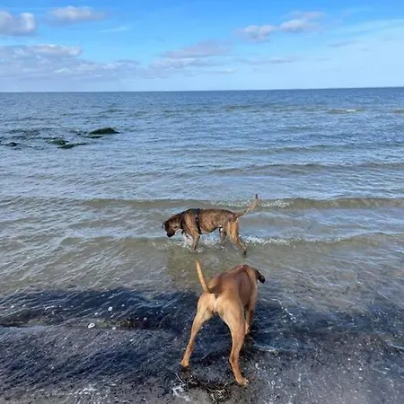 דירה Jules Heim Mit Herz Hanshagen (Lubmin)