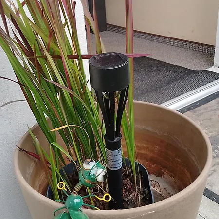 Jules Heim Mit Herz * Hanshagen (Lubmin)