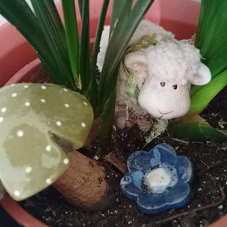 Jules Heim Mit Herz Lejlighed Hanshagen (Lubmin)